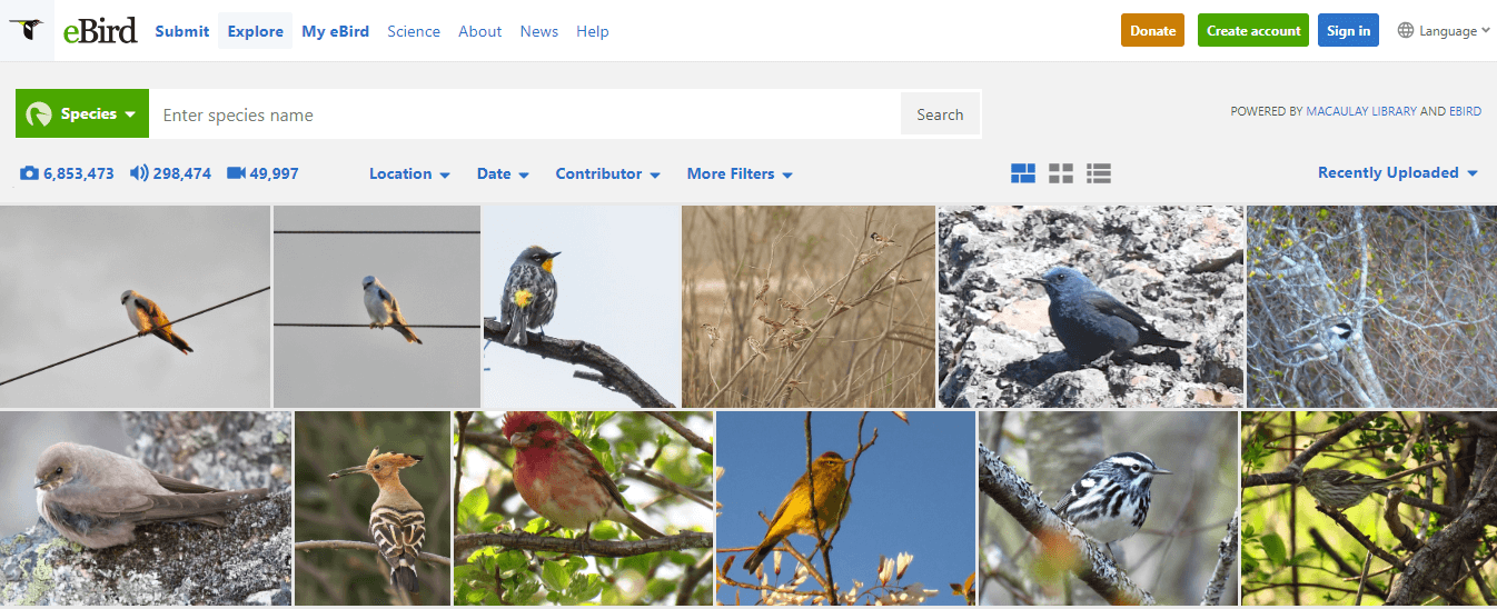 birding software for mac